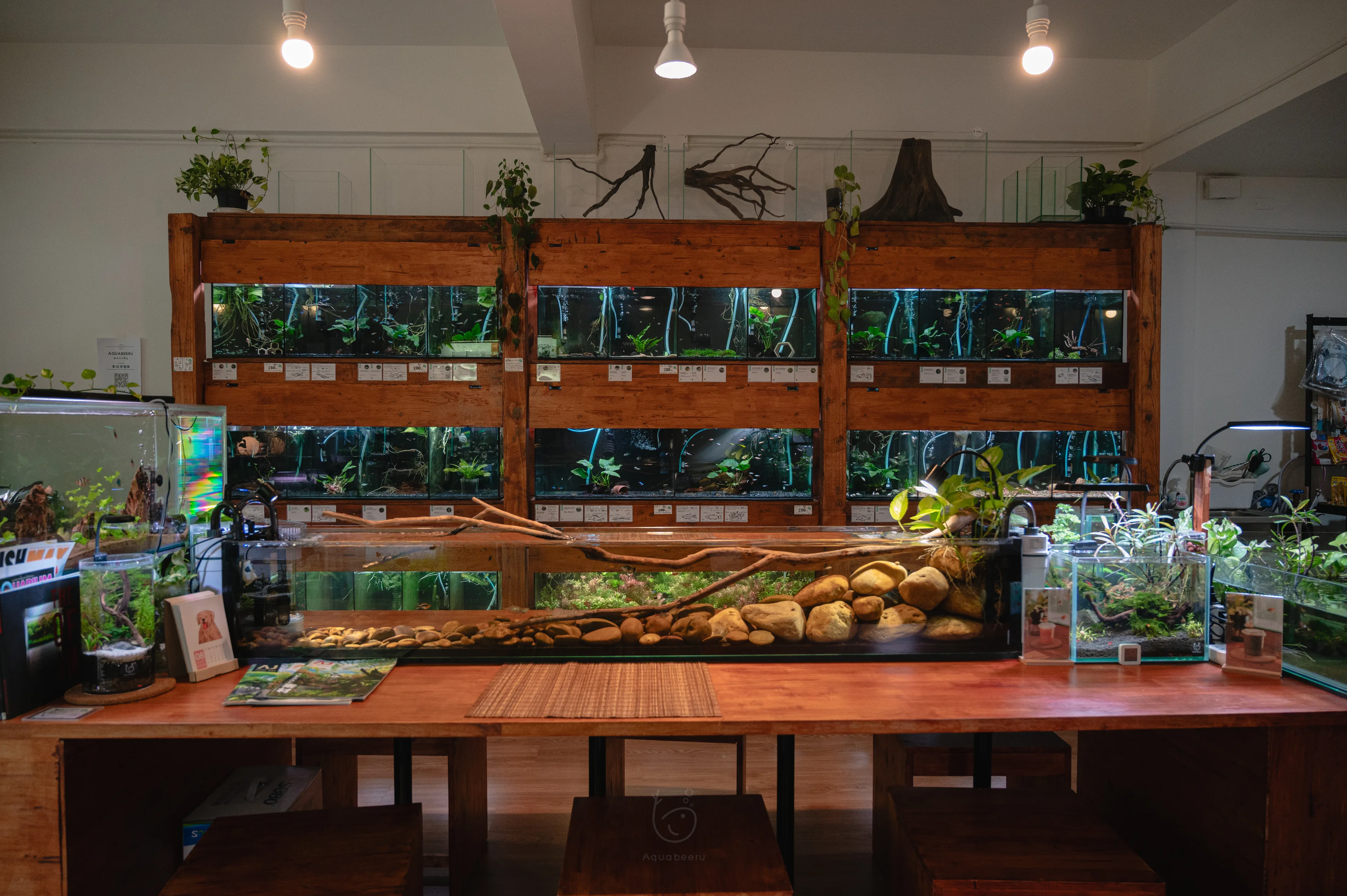 บรรยากาศร้าน Aquabeeru